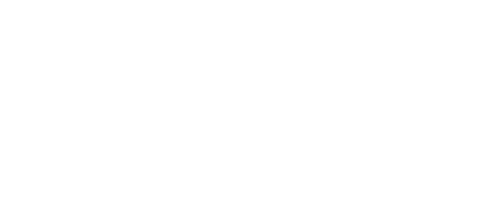 Pinkcity Palms Logo